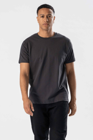 Camiseta regular - Gris