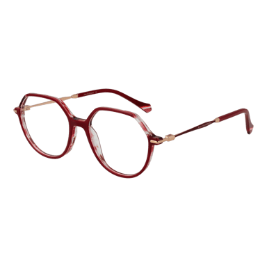 Ana Hickmann Gafas AH6480 52H02
