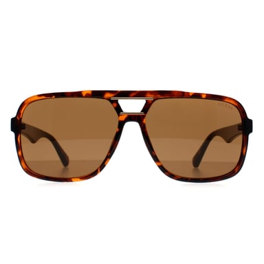 Guess Aviator Hombre Habana Oscuro Marrón GF5125