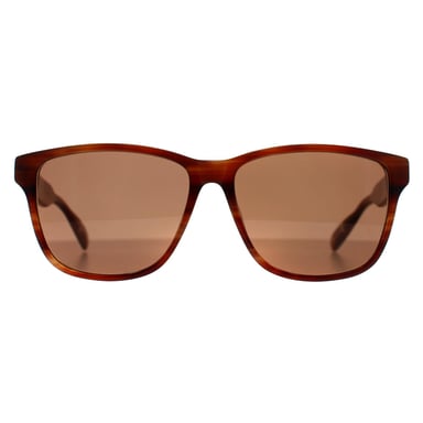 Ted Baker Rectángulo Hombre Marrón Cuerno Marrón TB8232