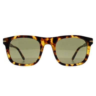 Serengeti Cuadrado Mens Brillante Clásico Habana Mineral Polarizado 555nm Fotocrómico Charlton