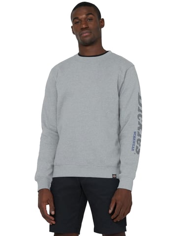 Sudadera Dickies Okemo Graphic