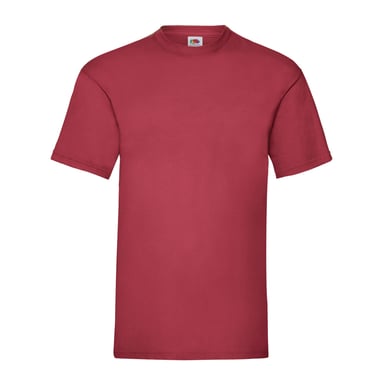 Fruit of the Loom Unisex Adult Valueweight T-Shirt (Brick Red)