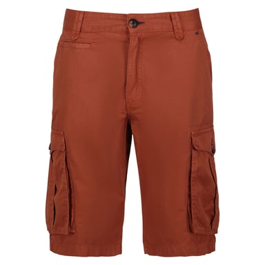Regatta Mens Shorebay Vintage Cargo Shorts (Baked Clay)