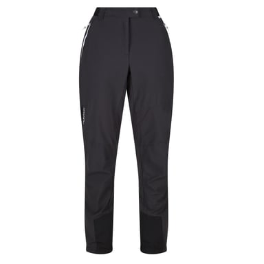Regatta Womens/Ladies Mountain III Walking Trousers (Ash/Black)