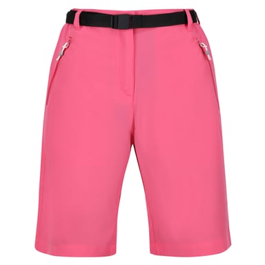 Regatta Womens/Ladies Xert Stretch Shorts (Fruit Dove)