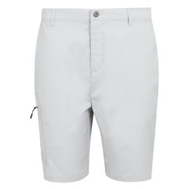 Regatta Mens Dalry Multi Pocket Shorts (Silver Grey)