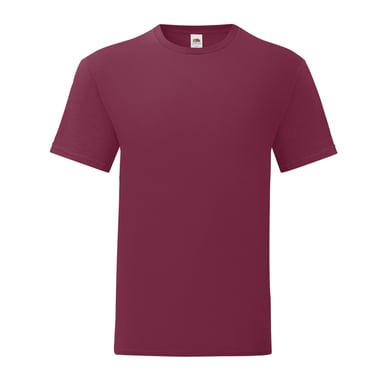 Fruit of the Loom Unisex Adult Iconic T-Shirt (Burgundy)