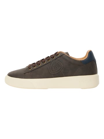 Zapatilla Blauer