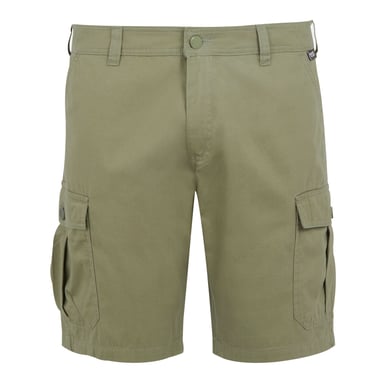 Regatta Mens Ruwan Casual Shorts (Fauna)