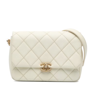 Bolso Cruzado Chanel 19 Acolchado