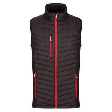 Regatta Mens Navigate Quilted Hybrid Gilet (Black/Classic Red)