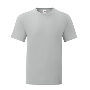 Fruit of the Loom Unisex Adult Iconic T-Shirt (Zinc)