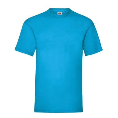 Fruit of the Loom Unisex Adult Valueweight T-Shirt (Azure Blue)