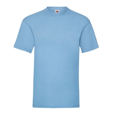 Fruit of the Loom Unisex Adult Valueweight T-Shirt (Sky Blue)