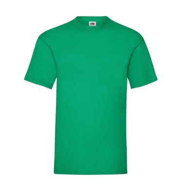 Fruit of the Loom Unisex Adult Valueweight T-Shirt (Kelly Green)