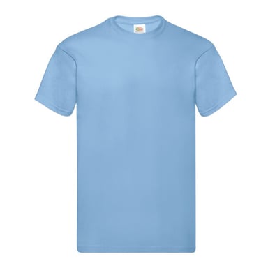 Fruit of the Loom Unisex Adult Original Cotton T-Shirt (Sky Blue)