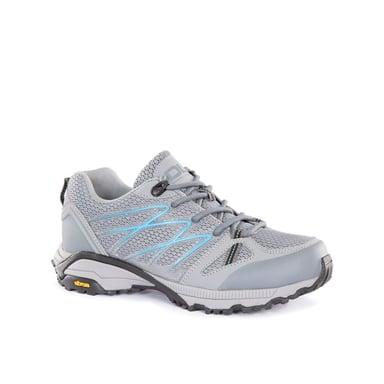 Womens/Ladies Zindzi DLX Walking Shoes (Grey)