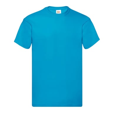 Fruit of the Loom Unisex Adult Original Cotton T-Shirt (Azure Blue)