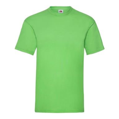 Fruit of the Loom Unisex Adult Valueweight T-Shirt (Lime)