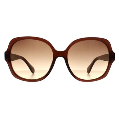 Calvin Klein Cat Eye Womens Crystal Marrón Gradiente CK19538S