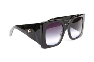 Ana Hickmann Sunglasses AH9434 A01 55