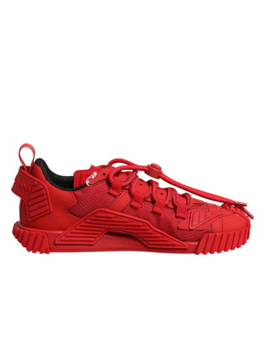 Zapatillas NS1 de encaje bajo con logo rojo de Dolce & Gabbana