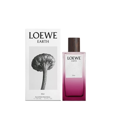 Earth Elixir Edp Vapo 100 ml