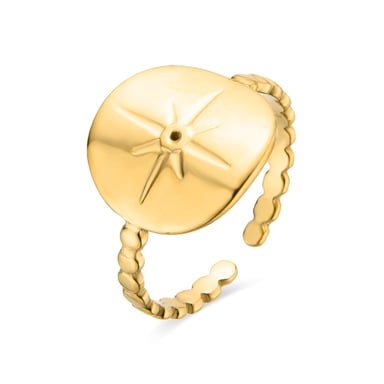 Anillo Luxenter de Circonita Brillante acabado en oro amarillo de 18K- Leri