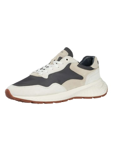 HOFF Zapatillas City MKII De Ante, Gris