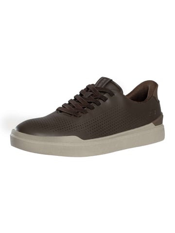 Skechers Zapatillas Sin Cordones Owen Connell, Marrón