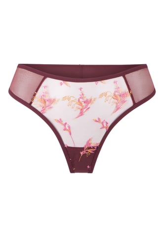 Lingadore Tanga
