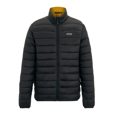 Regatta Marizion Chaqueta acolchada para hombre (Negro/Marrón madera)