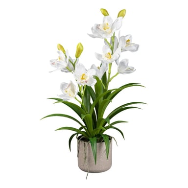 Kopu ® orquídea artificial 58 cm – en maceta de melamina gris Cymbidium