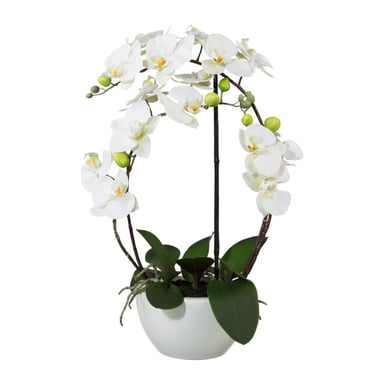 Kopu ® orquídea artificial 52 cm – en maceta de cerámica phalaenopsis