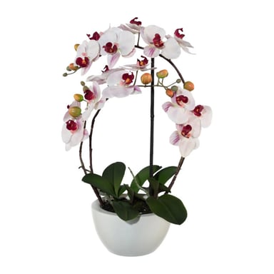 Kopu ® orquídea artificial 52 cm - maceta de cerámica blanca phalaenopsis