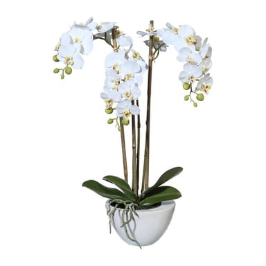 Kopu ® orquídea artificial 51 cm – en cuenco phalaenopsis