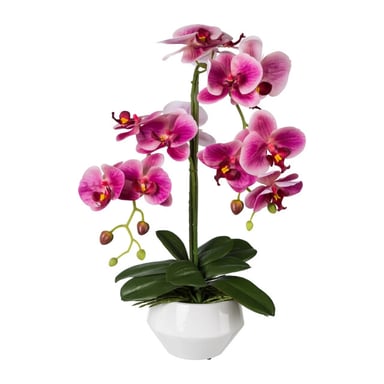 Kopu ® orquídea artificial 52 cm – maceta blanca phalaenopsis