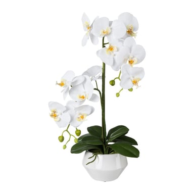 Kopu ® orquídea artificial 52 cm – en maceta de cerámica phalaenopsis