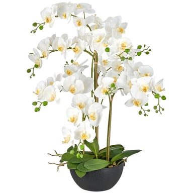 Kopu ® orquídea artificial 80 cm - cuenco negro phalaenopsis