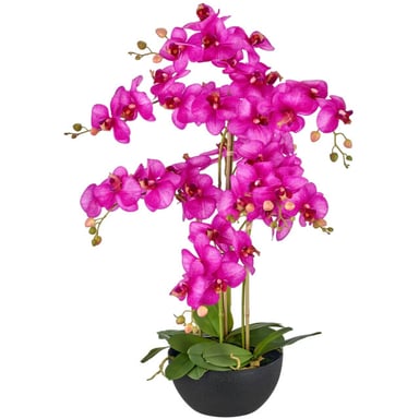 Kopu ® orquídea artificial 80 cm - cuenco negro phalaenopsis