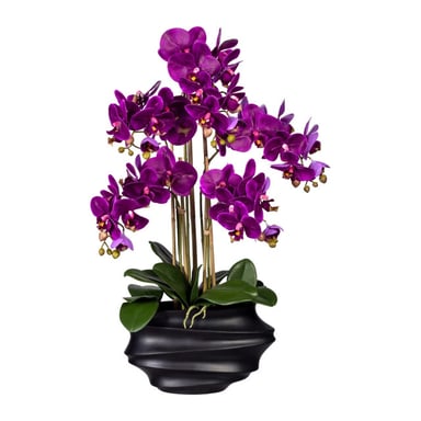 Kopu ® orquídea artificial 75 cm – jarrón negro phalaenopsis