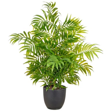 Kopu ® planta artificial palmera de montaña 60 cm maceta negra Chamaedorea