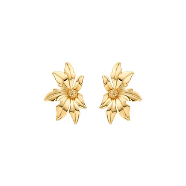 Pendientes Luxenter acabados en oro amarillo de 18K - Aucell