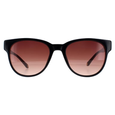 Ted Baker TB1627 Ware 001 negro marrón degradado gafas de sol