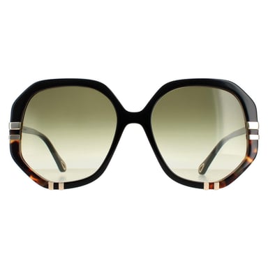 Chloe Cuadrado señoras brillante negro y verde tortuga degradado CH0105S