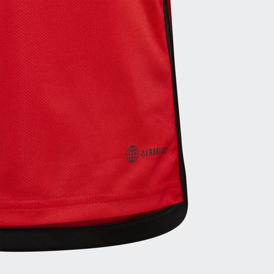 Belgium 22 Home Mini Kit