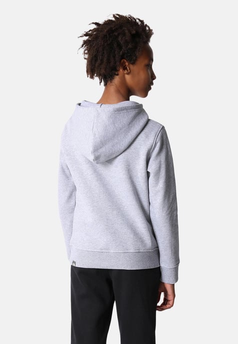 Sudadera con capucha The North Face Kids Drew Peak Overhead en gris - Image 3