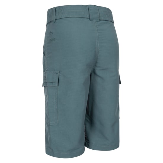 Trespass Childrens/Kids Craftly Shorts (Spruce Green)