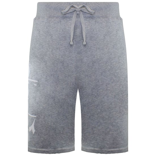 Shorts Diadora Logo Hombre Gris - Image 1